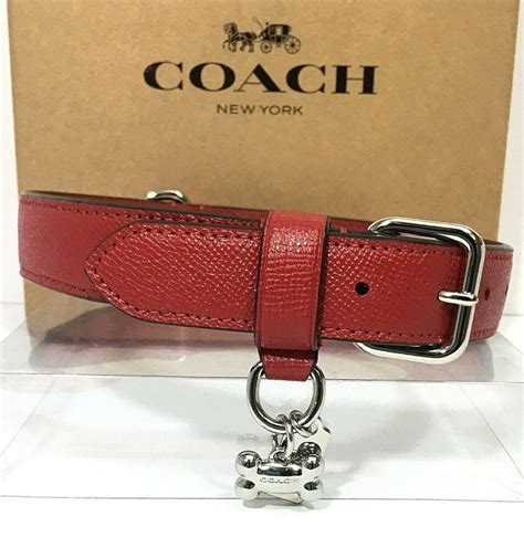 coach dog collars on sale
